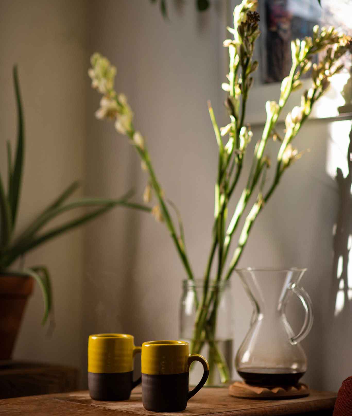 بسته بندی قهوه Devoción در شهر نیویورک