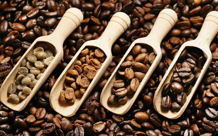 تفاوت بین قهوه روبوستا و عربیکا