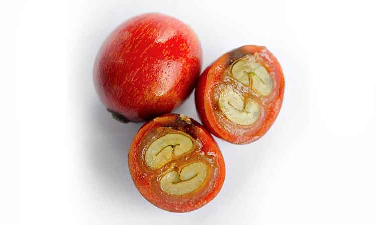 هر آنچه لازم است در مورد گیلاس قهوه بدانید