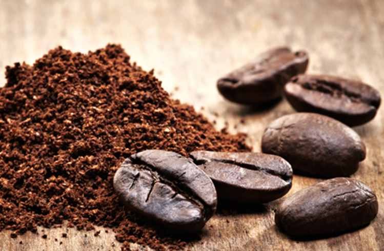گرانترین دانه های قهوه