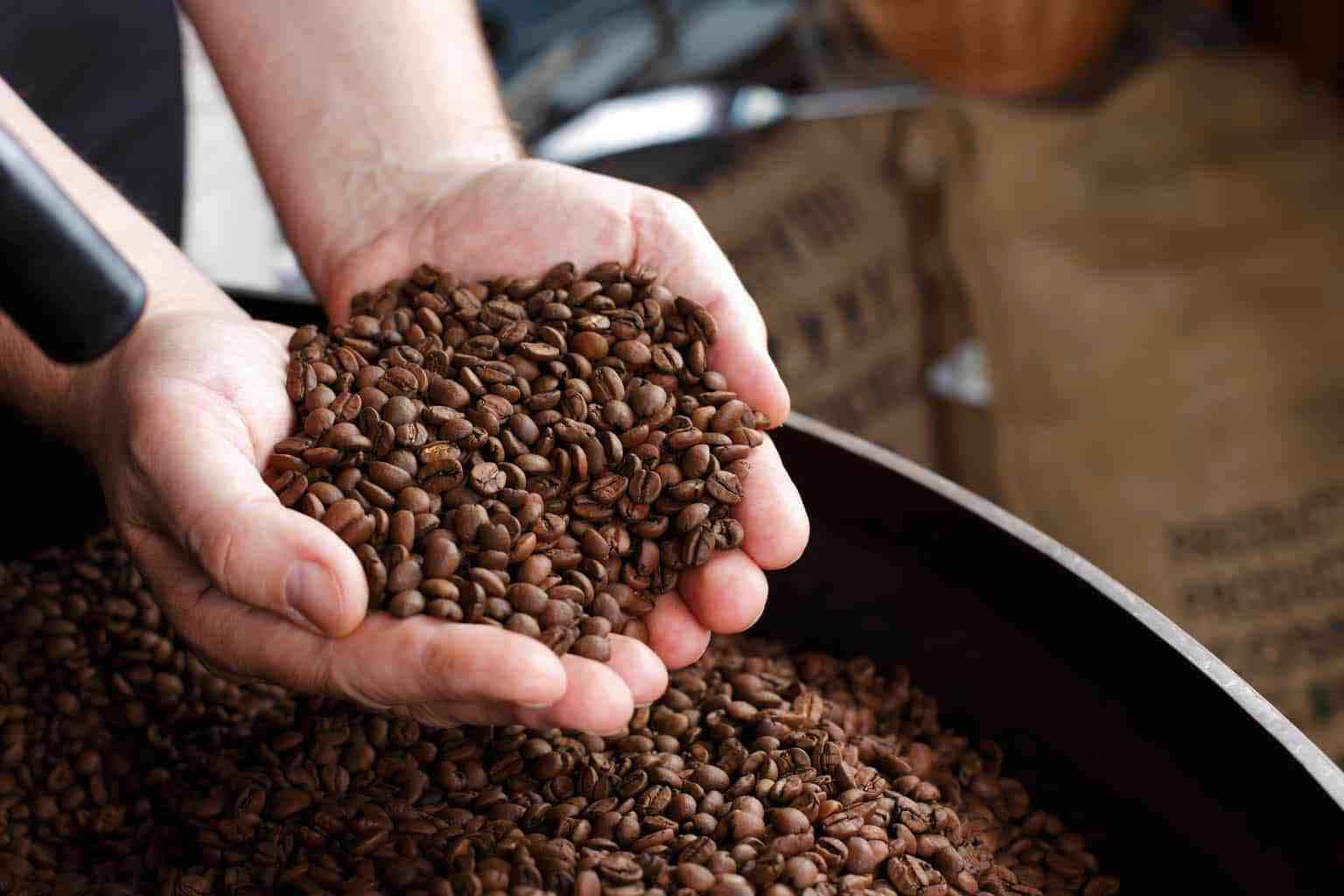 تفاوت و شباهت های قهوه ارگانیک و غیر ارگانیک